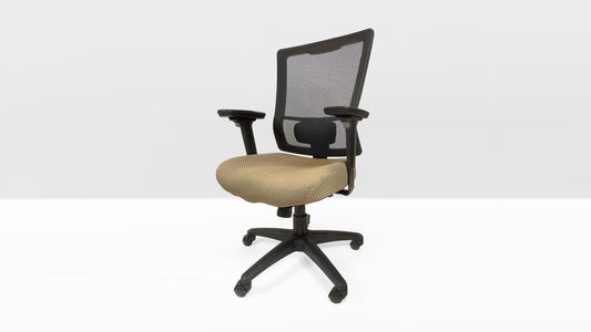 TEMPUR-Lumbar Support™ Office Chair (Beige)